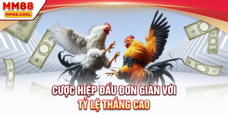 Cược hiệp đấu đơn giản với tỷ lệ thắng cao