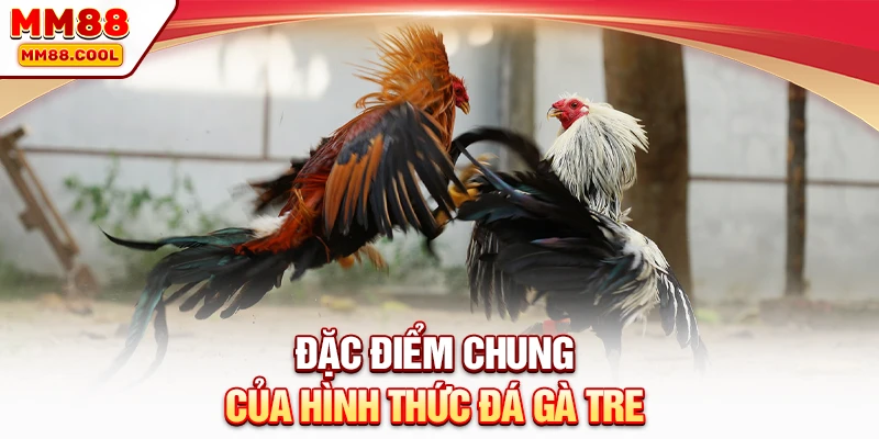 Đặc điểm chung của hình thức đá gà tre