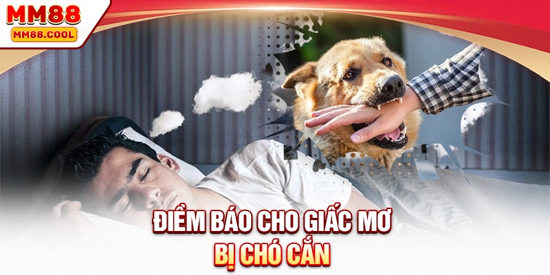 Điềm báo cho giấc mơ bị chó cắn