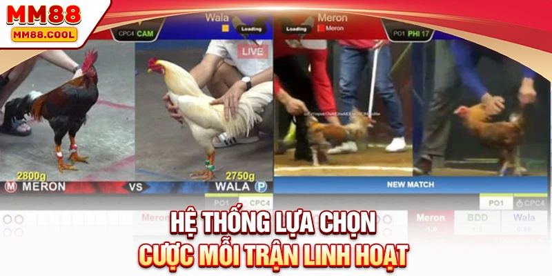 Hệ thống lựa chọn cược mỗi trận linh hoạt