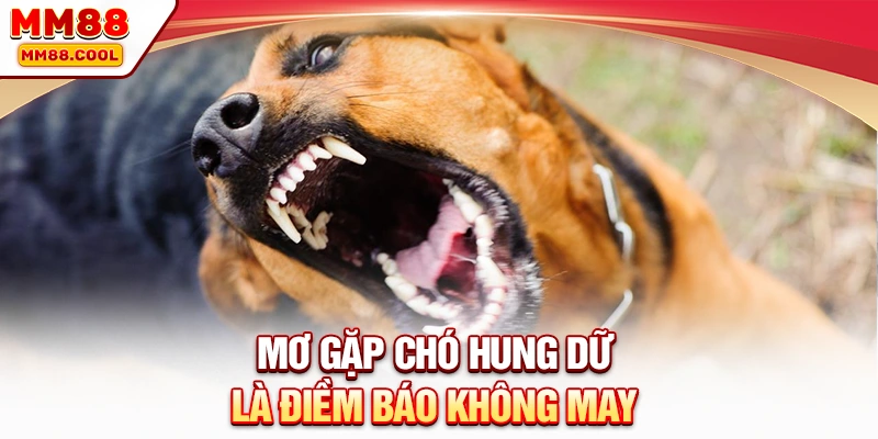 Mơ gặp chó hung dữ là điềm báo không may