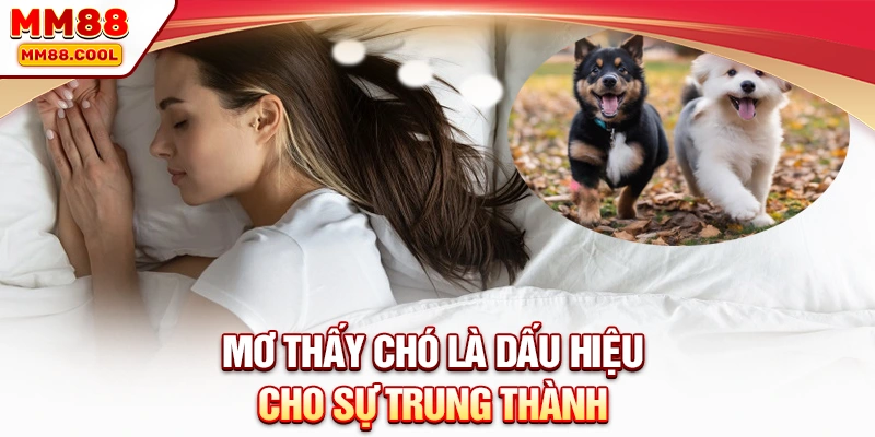 Mơ thấy chó là dấu hiệu cho sự trung thành