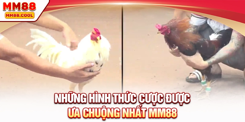 Những hình thức cược được ưa chuộng nhất MM88
