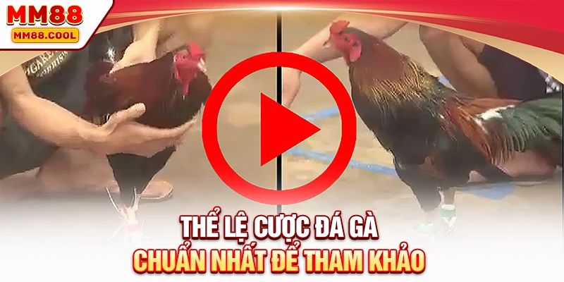 Thể lệ cược đá gà chuẩn nhất để tham khảo