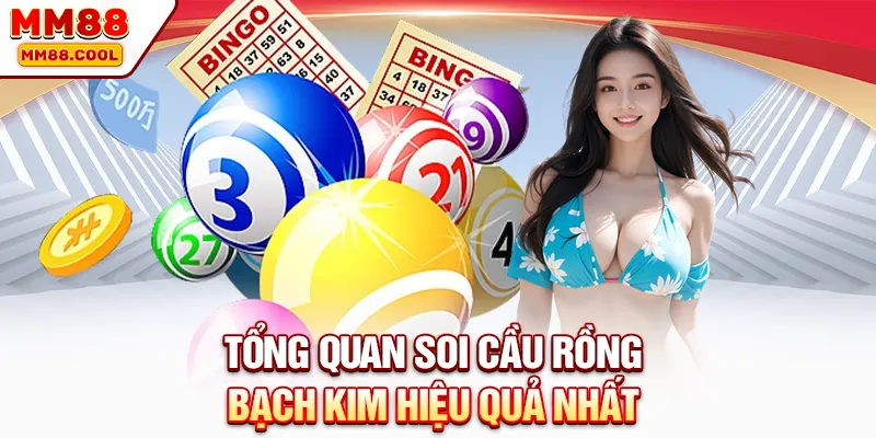 Tổng quan soi cầu rồng bạch kim hiệu quả nhất