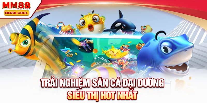 Trải nghiệm săn cá đại dương siêu thị hot nhất