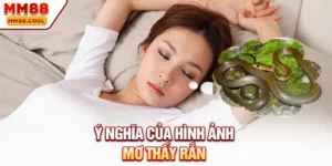 Ý nghĩa của hình ảnh mơ thấy rắn