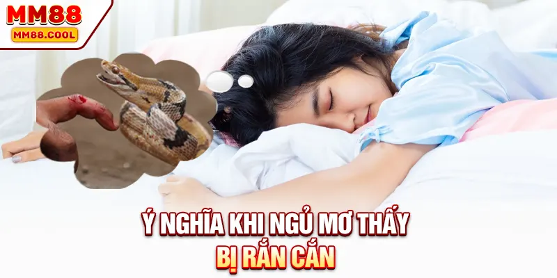 Ý nghĩa khi ngủ mơ thấy bị rắn cắn